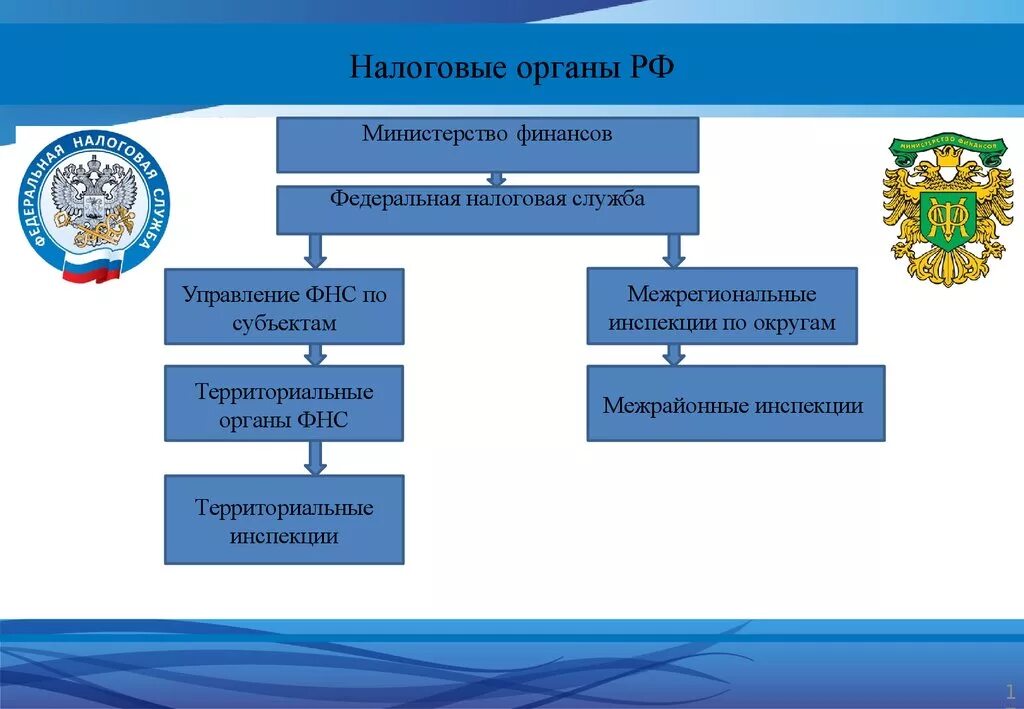 Субъект рф для налоговой. Налоговые органы РФ. Органы налоговой службы. Федеральная налоговая служба субъекты. Система налоговых органов РФ.