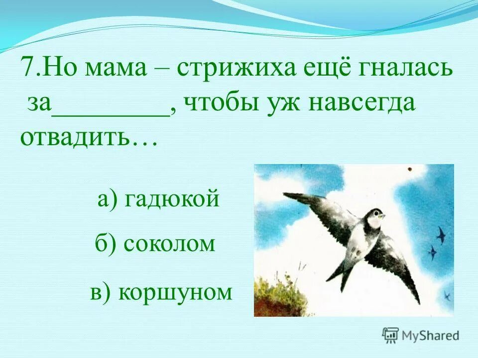 Краткий план к стрижонку скрипу. Презентация в. Астафьев " Стрижонок скрип". В П Астафьев Стрижонок скрип. В П Астафьев Стрижонок скрип план.