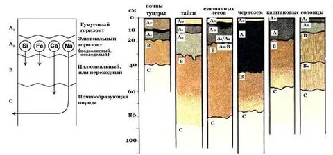 Обозначить горизонт