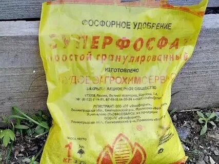 Суперфосфат в теплице