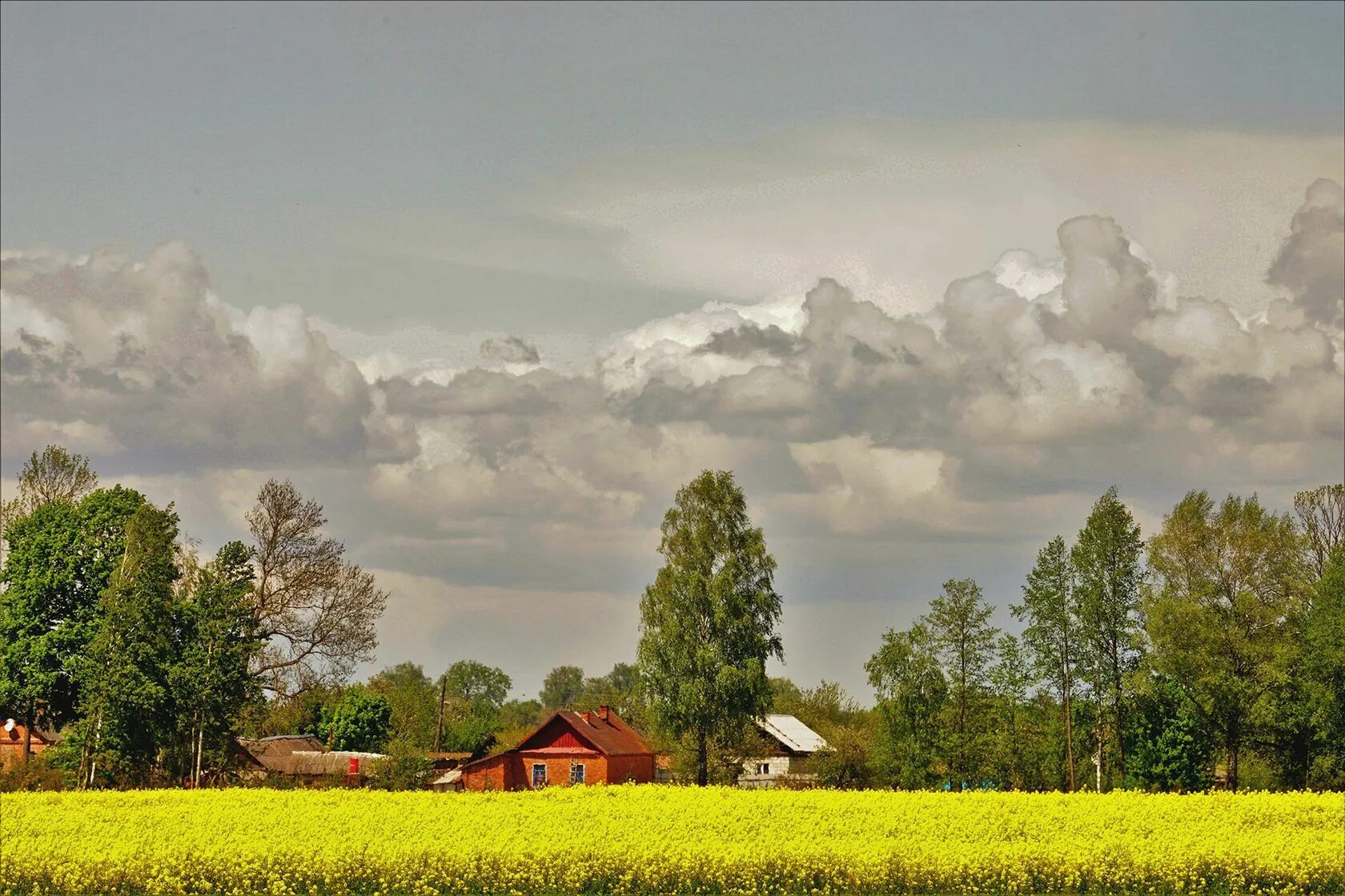 Фотография малой родины. Родные просторы Пушгоры панорама. Белорусский пейзаж. Поле деревня. Природа малой Родины.