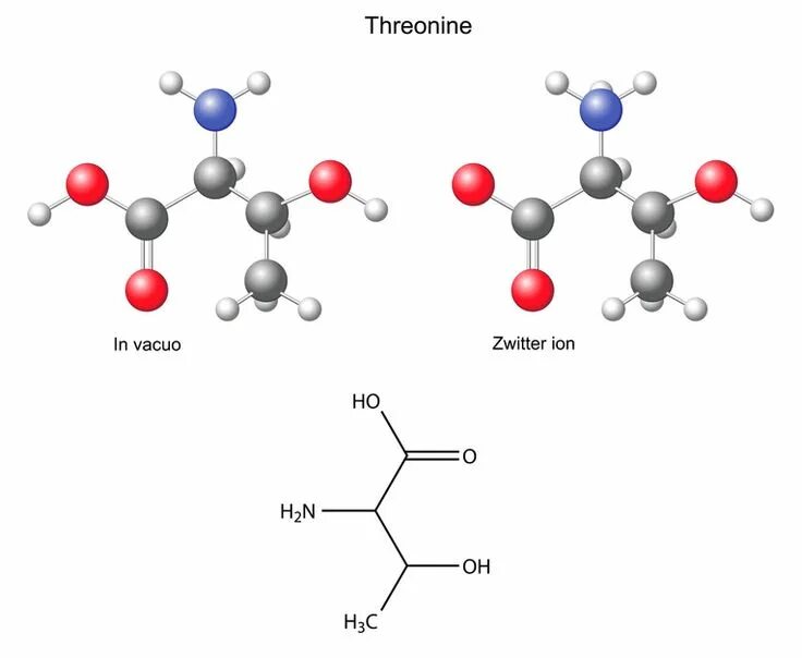 Структурная формула лейцина. На рисунке представлена структурная формула лейцина. Лейцин биологическая роль. Л лейцин формула. Leucine формула.