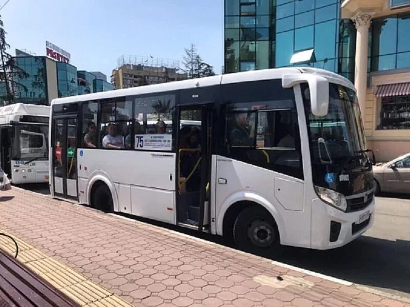 Автобусы Сочи. Общественный транспорт Сочи. Сочинский автобус. Городские автобусы в Сочи. Автобус 77 расписание лазаревское