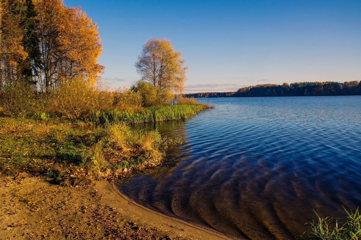 Истра водохранилище. Озеро Истра Московская область. Истринское водохранилище Московская область. Истринское водохранилище водохранилище. Истринские водоемы