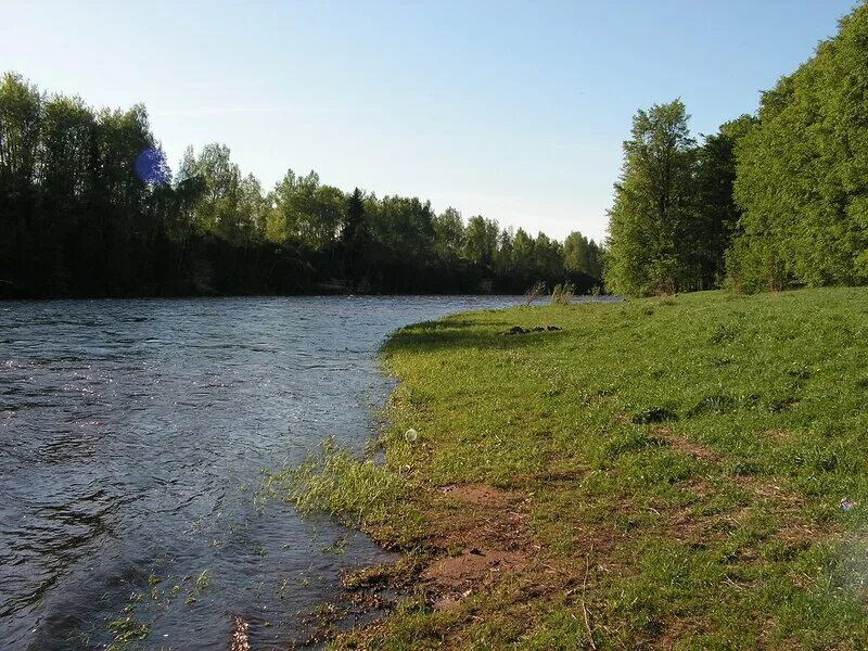 Река мста новгородская область. Девкино Боровичский район. Река Горная Мста. Река Мста Боровичский район.