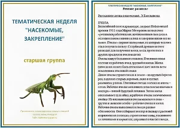 Тематическая неделя насекомые. Тема недели насекомые в старшей группе. Тематическая неделя насекомые в старшей группе. Тема недели в детском саду насекомые.