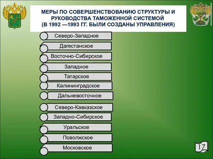 Таможенное управление какие есть