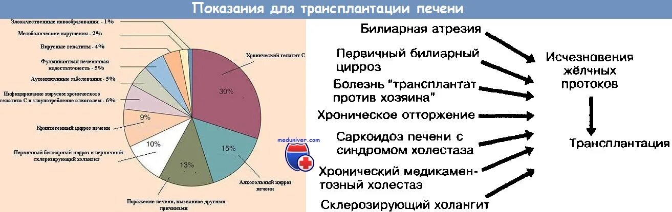 Сколько живут после пересадки. Показания к трансплантации печени. Трансплантация печени в России. Трансплантация печени этапы. Показания для пересадки печени.