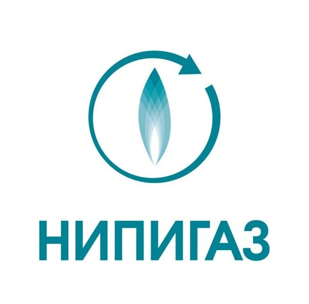 Нипигаз тюмень. Нипигаз. нипигаз лого. нипигаз омск. брендбук нипигаз.