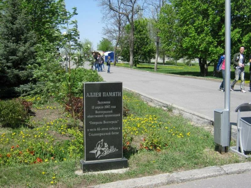 Аллея памяти табличка. Памятник аллея памяти. Аллея памяти проект. Надпись аллея памяти. Аллея памяти погибшим