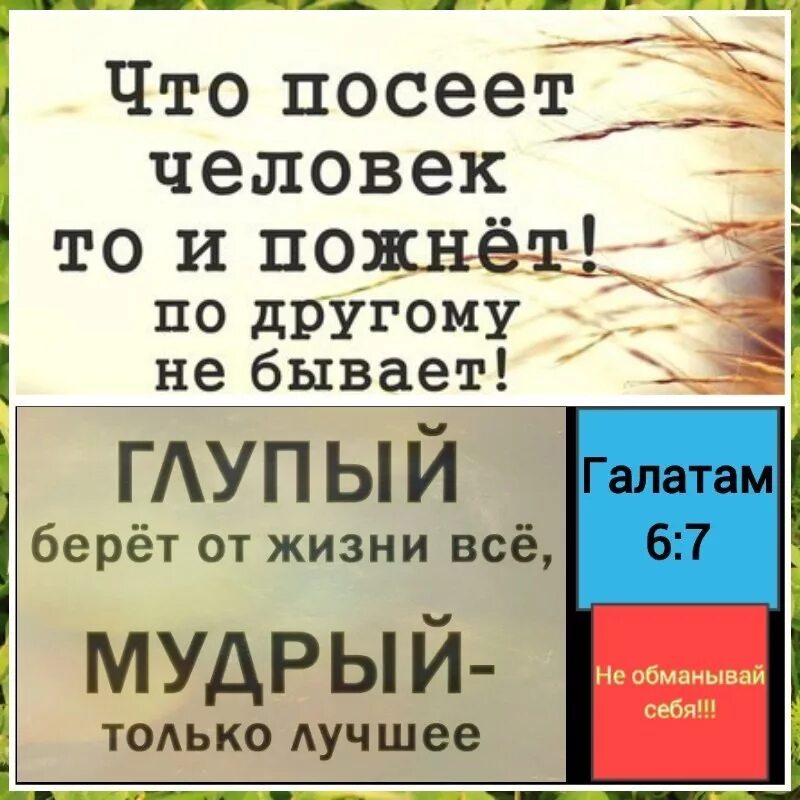 Что посеешь то и пожнешь примеры. Что посеет человек то и пожнет. что пессешь то и пожмеш.. что посеешь то и пожнешь стихотворение. что посеет человек то и пожнет картинки.