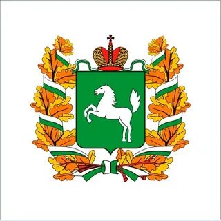 Флаг томска