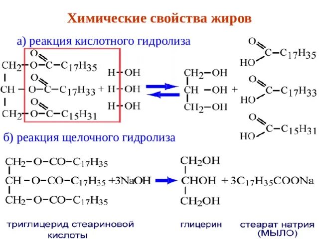 Характерные реакции жиров