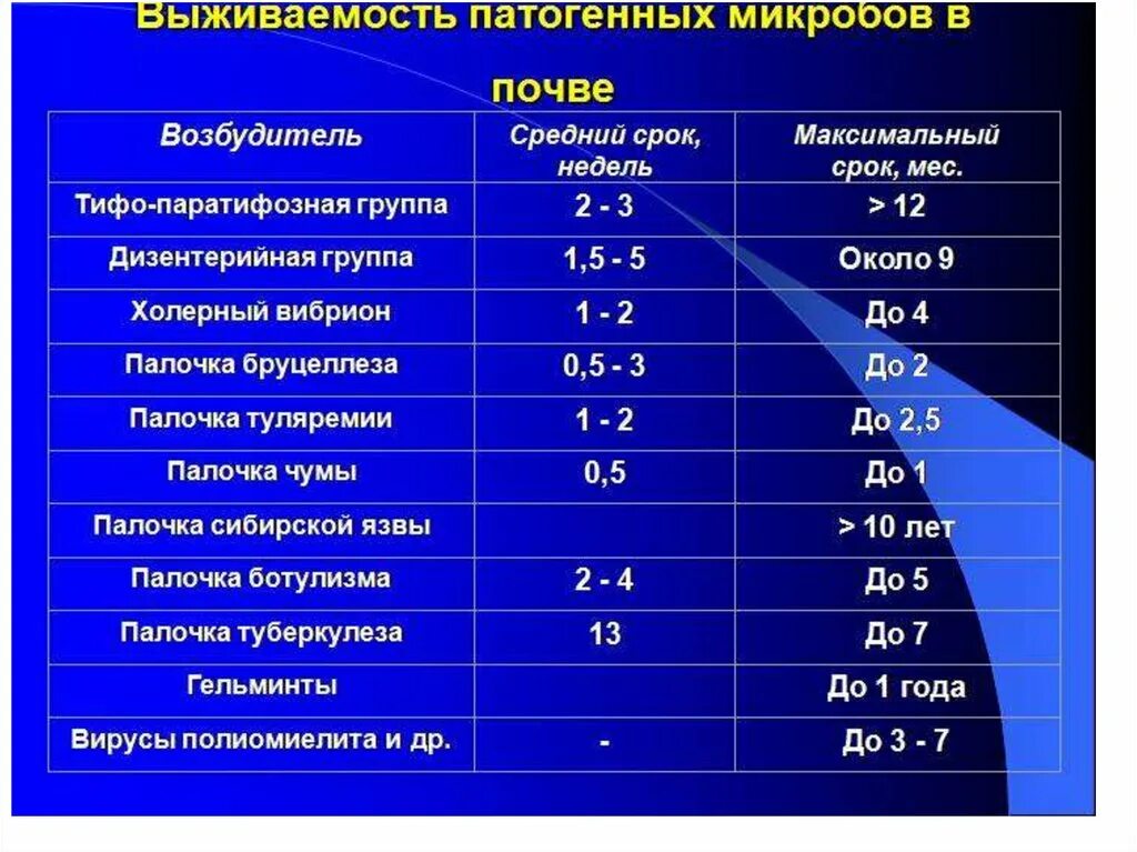 Продолжительность длительного времени. Выживаемость патогенных микробов в почве. Возбудители заболеваний в почве. Выживаемость микроорганизмов. Выживаемость патогенных микроорганизмов в почве.