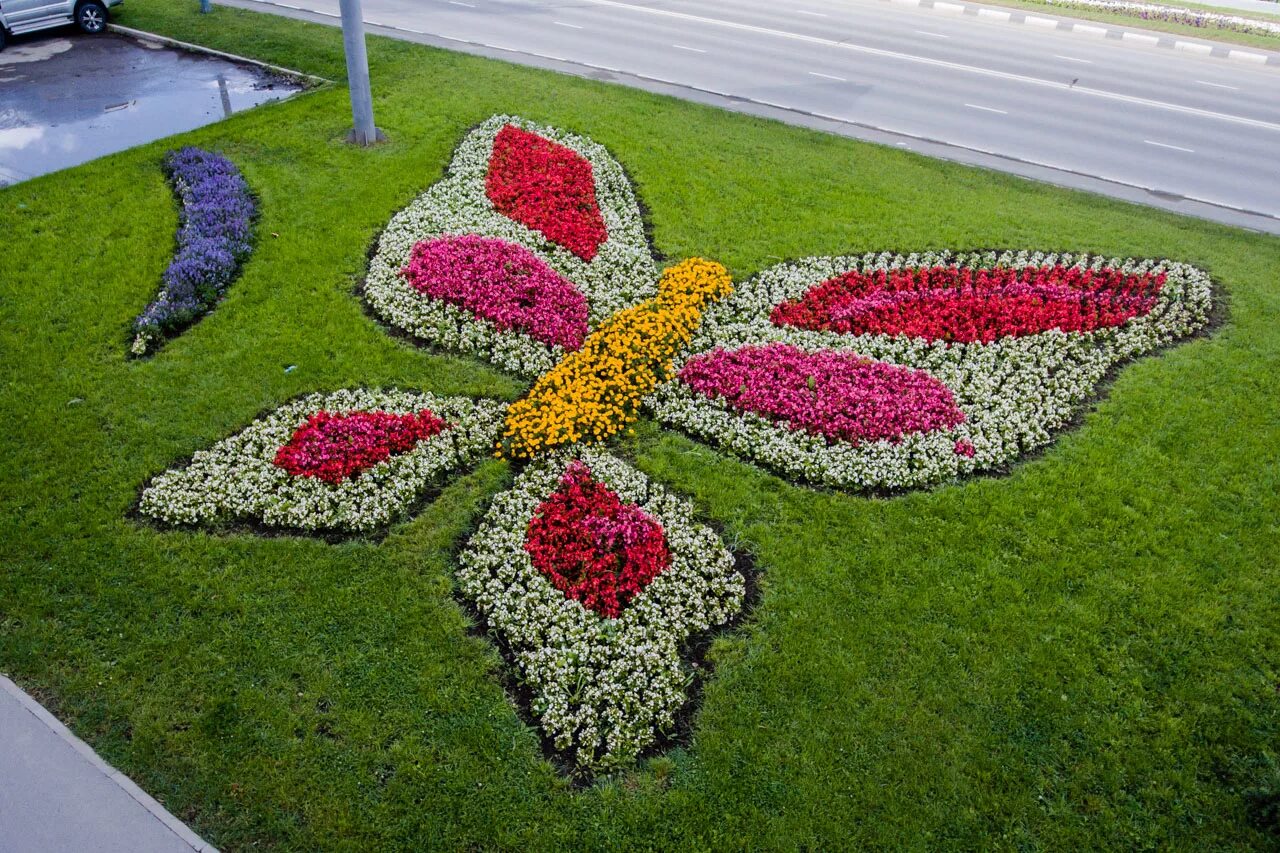 Парк горького цветники. Самарский парк победы клумбы. Первомайский тульской цветочные клумбы. Клумба южная. Цветы южно-сахалинск.