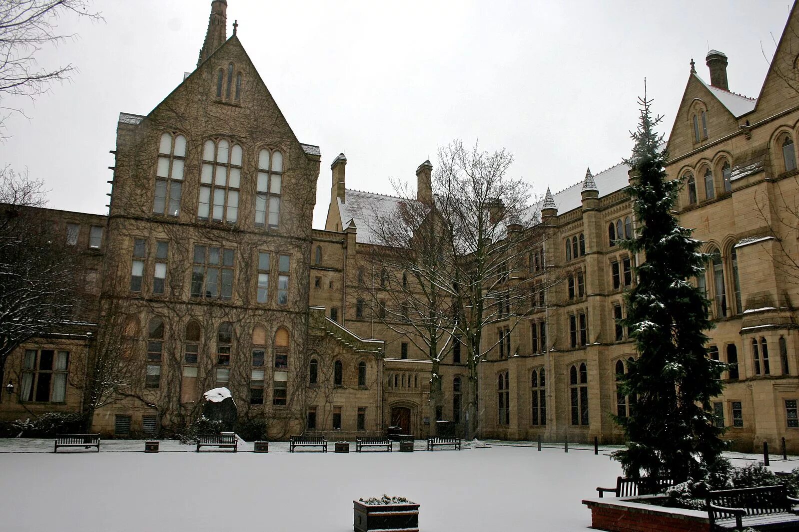 History of the university