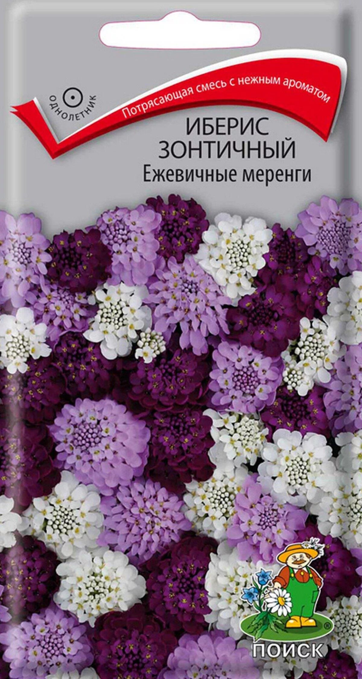 Иберис купить семена. Семена цветов иберис зонтичный "ежевичные меренги". Иберис зонтичный ежевичный. Иберис ежевичные меренги 0,1г. Цветы иберис ежевичные меренги.