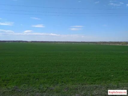 600 гектар