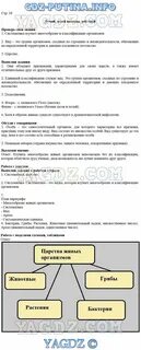 Читать биологию 5 класс плешаков сивоглазов