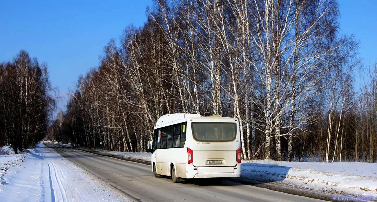 Автобус 131 томск. Паз 320435-14. копылово томская область. пазики в томске. паз вектор некст томск.