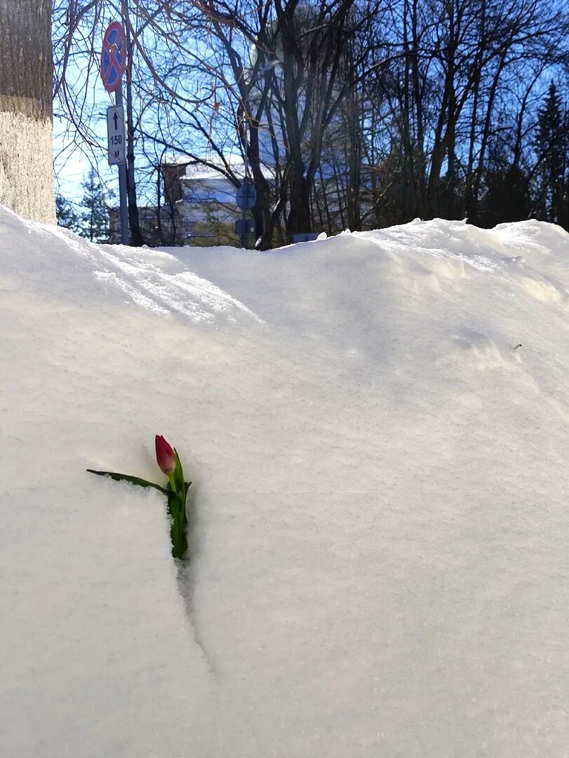 Главное чтобы март не забыл. Сейчас главное чтобы март.