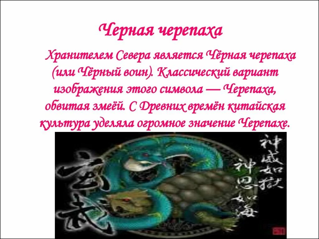 Черепаха символ. Черепаха символ чего. Черепашка символ значение. Что обозначает символ черепахи. Черепаха символизирует