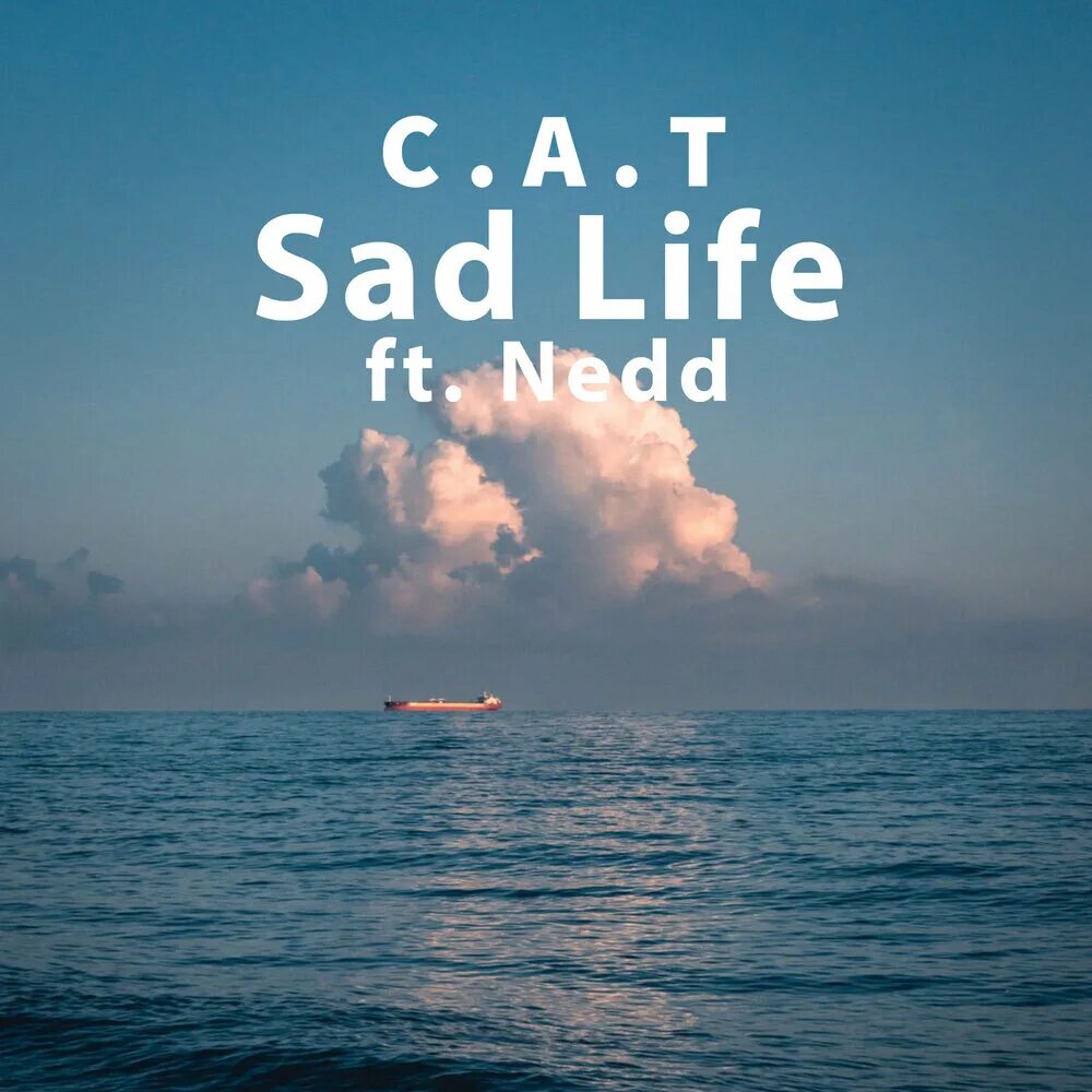 Life is sad. Sad Life. Wild Life, Sad Life. Nedd. Sad Life logo.