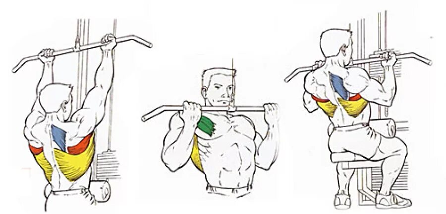 Тяга верх блока обратным хватом. Тяга верхнего блока узким обратным хватом. Тяга вертикального блока обратным хватом. Тяга верхнего блока к груди обратным хватом.