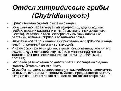 Отдел связанный