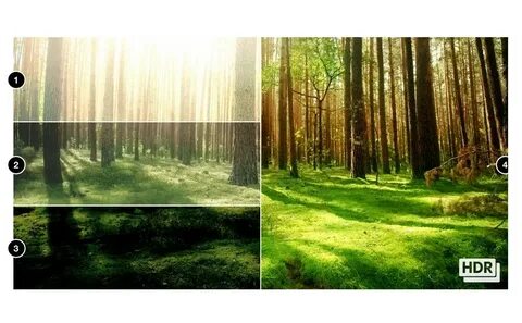 Что такое hdr в камере