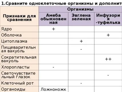 Сравнительная характеристика простейших 8 класс биология