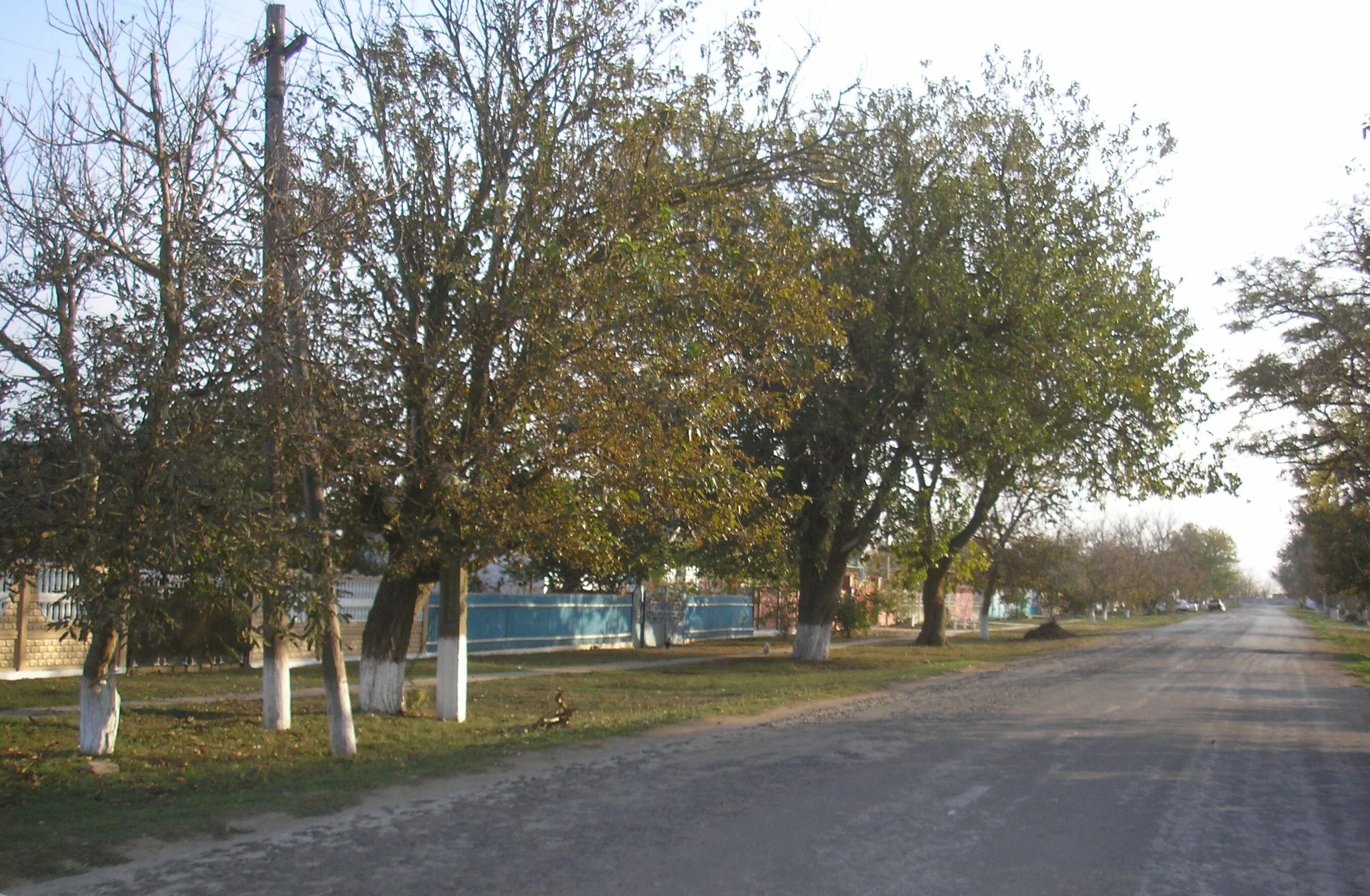 Погода джанкойский район. Село Пушкино Джанкойский р-н. Село Пушкино Джанкойский район Крым. Село Пушкино Красногвардейский район. Село Полевое Джанкойский район улица Гагарина.