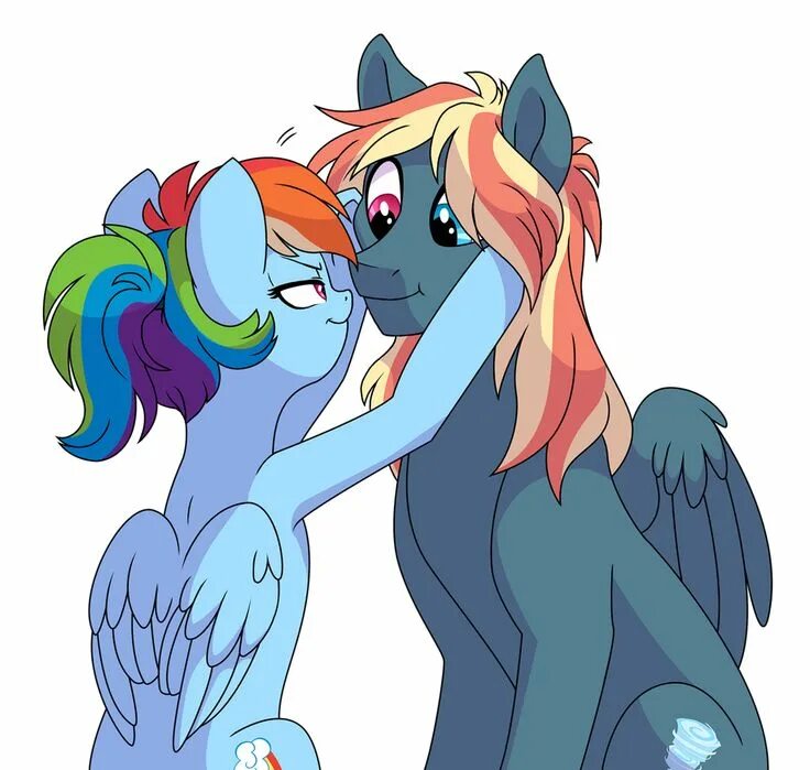 Rainbow dash x oc