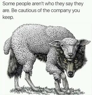 Wolf in sheep's