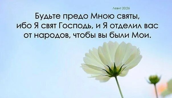 Святы будьте ибо свят я Господь Бог ваш. Будьте святы потому что я свят. Будьте святы потому что я свят Библия. Будьте предо мною святы,ибо я свят.