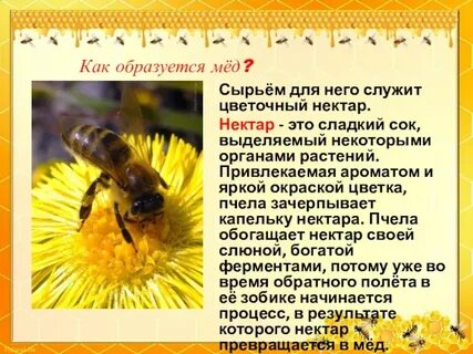 Нектаром инструкция