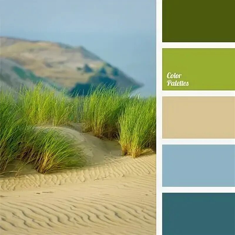 Сочетание синего и оливкового цветов Pin by Lexi on Palettes Color schemes colour palettes, Paint color schemes, Colo