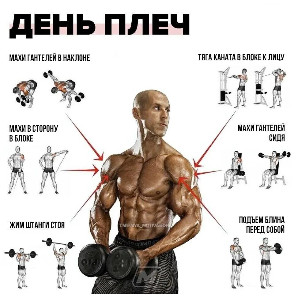 За сколько накачать мышцы