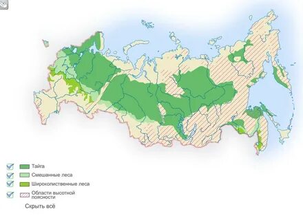 широколиственные леса на карте россии: 2 тыс изображений найдено в Яндекс  Картинках
