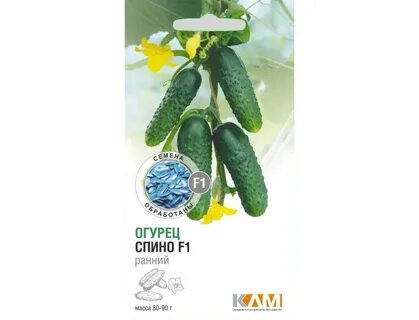 Огурец сорт спино
