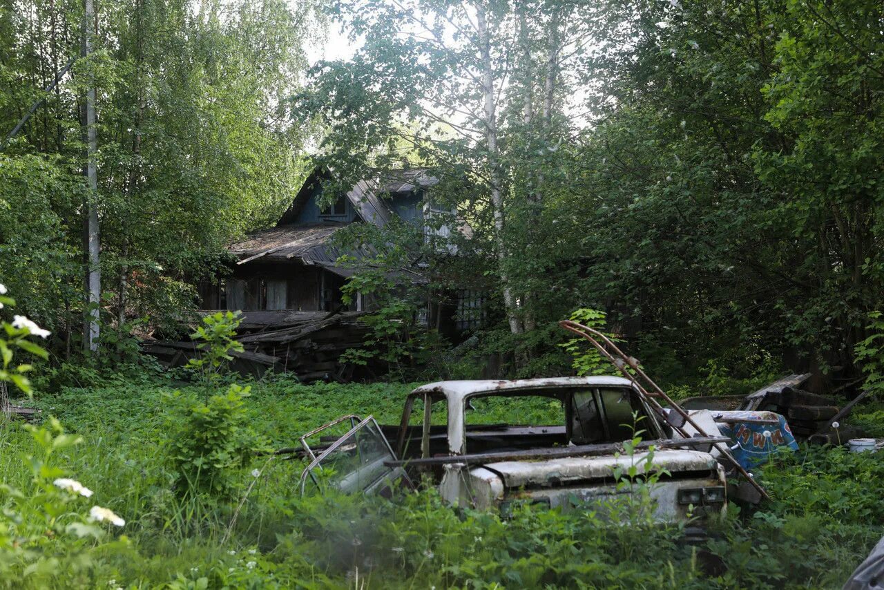 Как оформить бесхозный участок. Заброшенный участок. заброшенная дача. заброшенный садовый участок. заброшенное садовое товарищество.