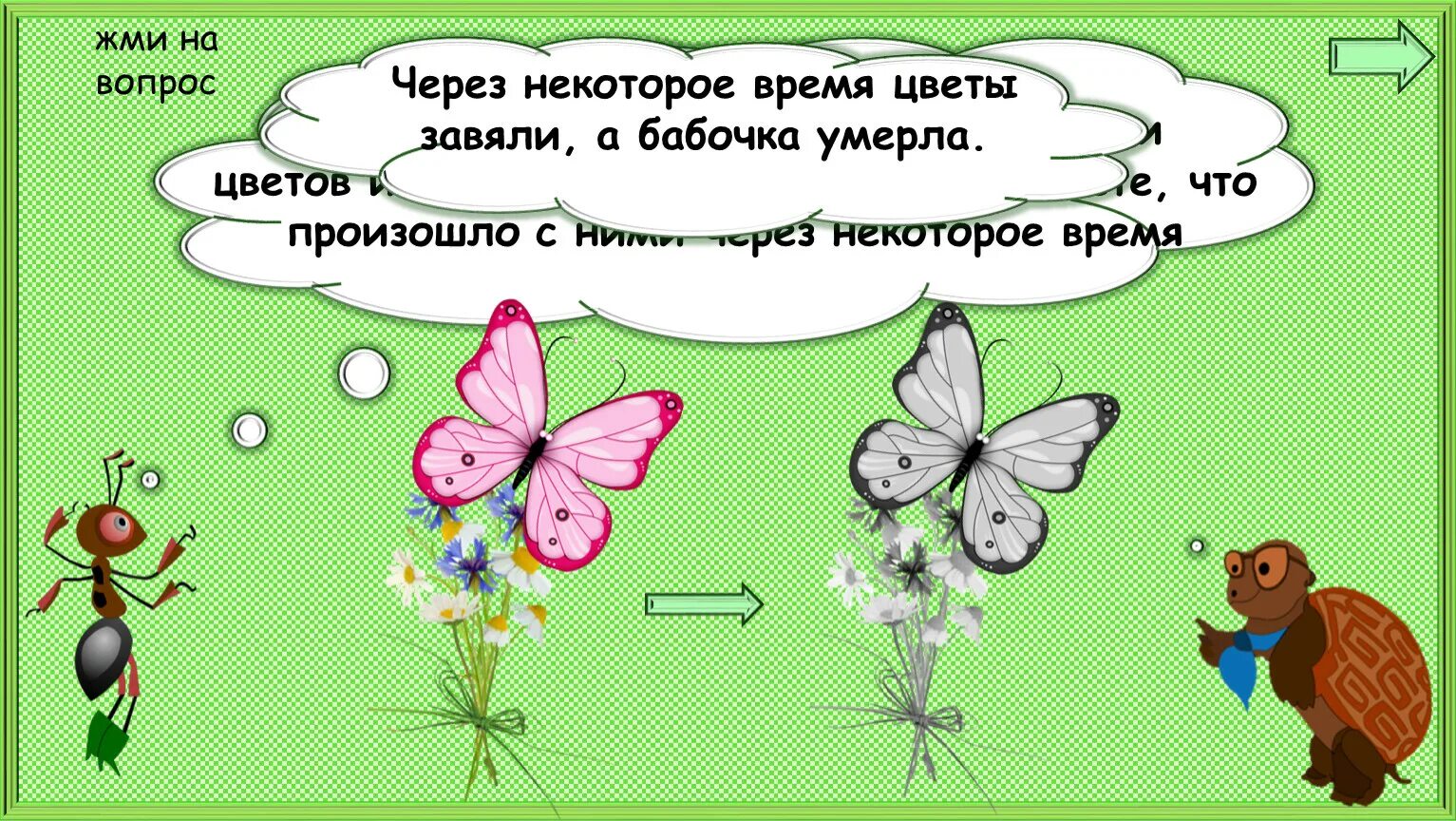 Почему нельзя ловить бабочек. Окружающий мир 1 класс цветы и бабочки. Бабочки 1 класс окружающий мир. 1 Класс бабочка на цветке. Каких бабочек нельзя увидеть днем на лугу