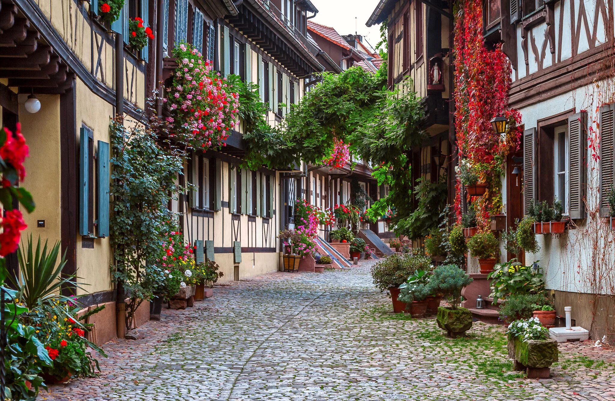 Street of flowers. Генгенбах Германия. Италия Гористая улочки Италии. Генгенбах Цветущий. Италия улочки цветы.