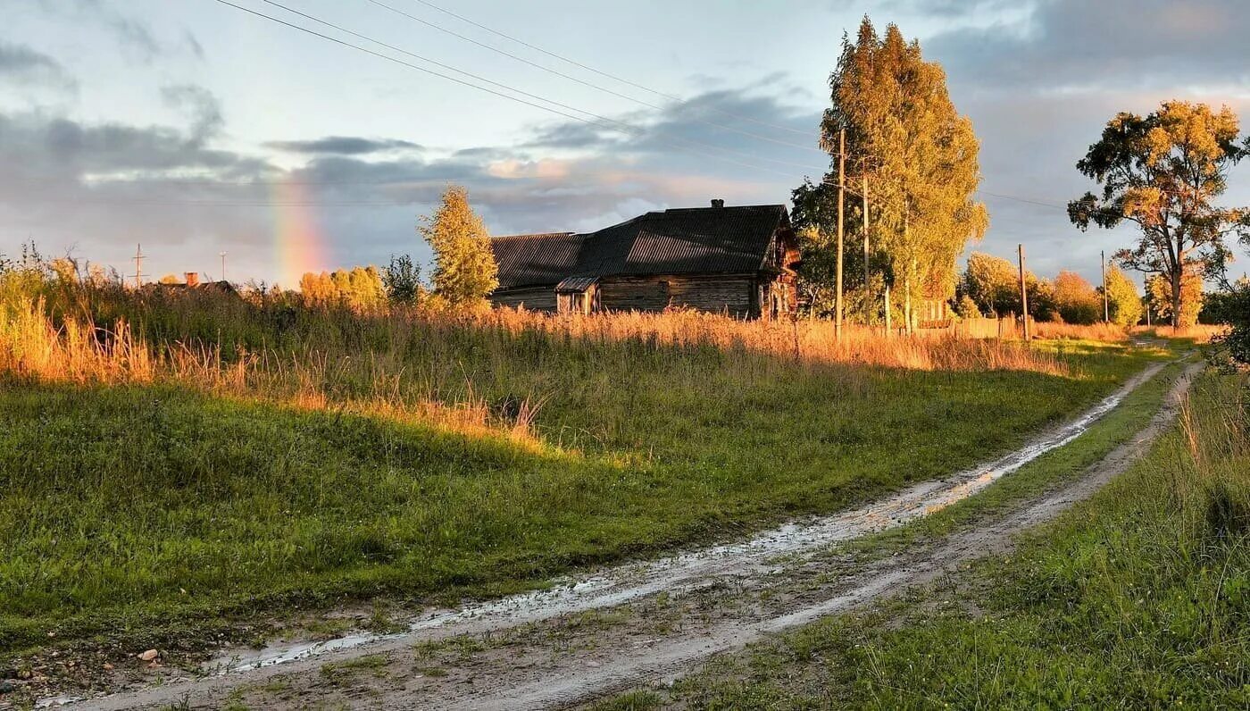 Поселковая дорога. Деревня природа Проселочная дорога. Осенний пейзаж Тульская деревня. Сельская Проселочная дорога. Дорога в деревне.