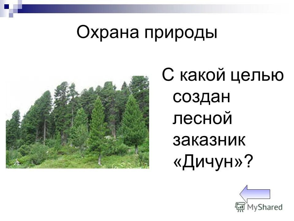 Защитная функция лесов. Лесной кодекс статья 30. Не связанных с созданием лесной. Не связанных с созданием лесной. Культуры сосны обыкновенной.