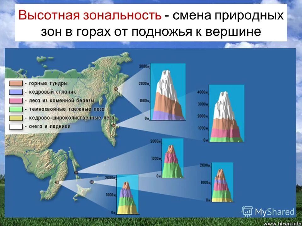 Причина возникновения высотной поясности