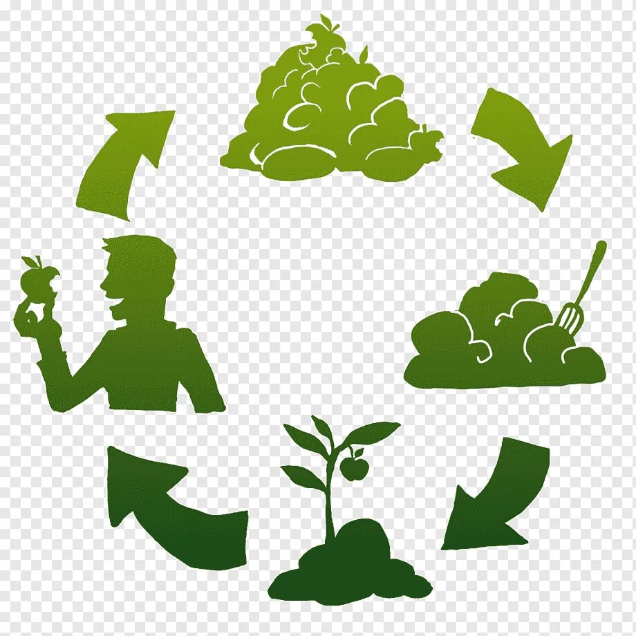 Органических отходов. Переработки отходов растительности. Экологическая переработка. Переработка растительной биомассы. Компостирование органических отходов.