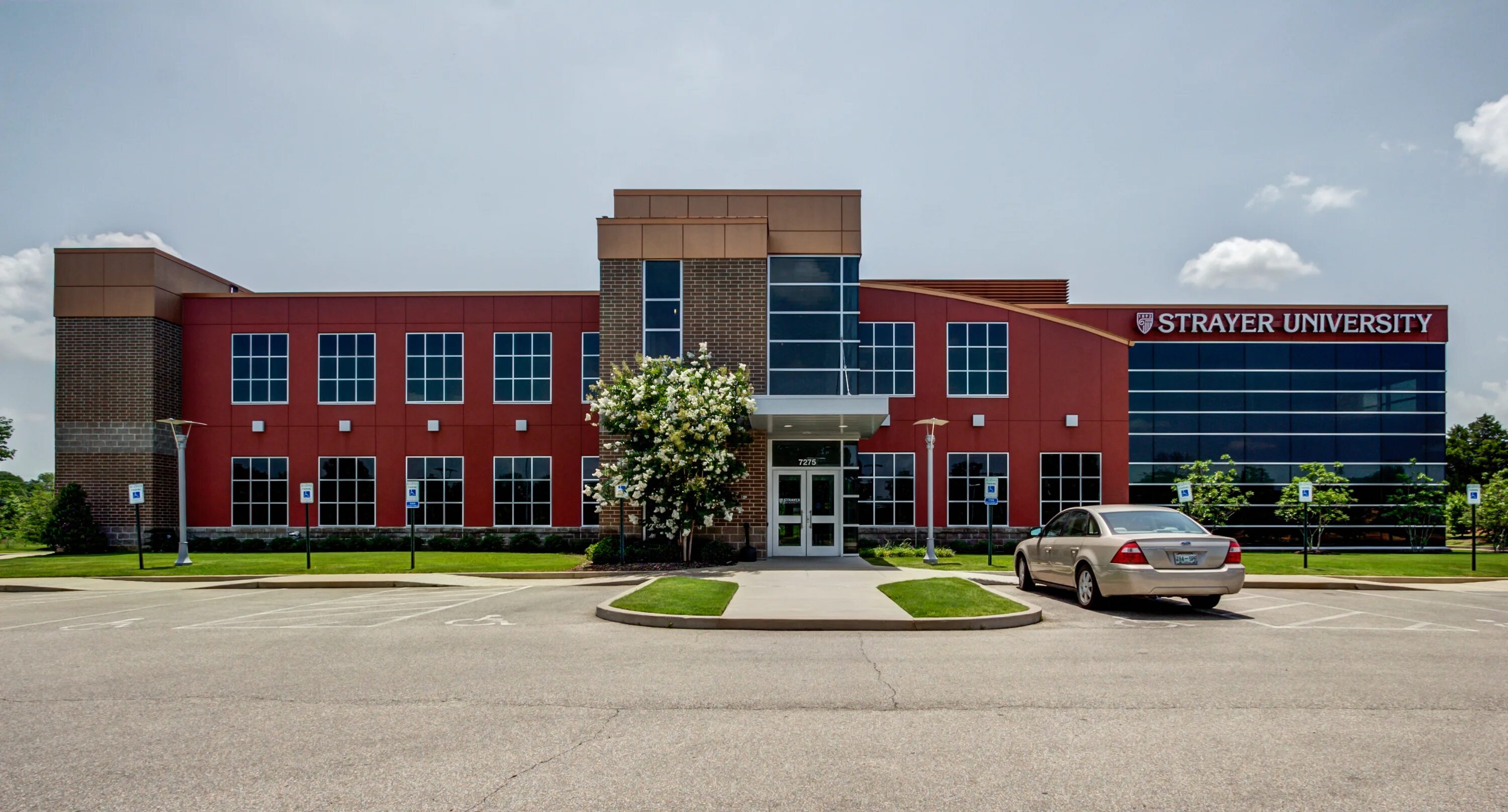 Strayer university