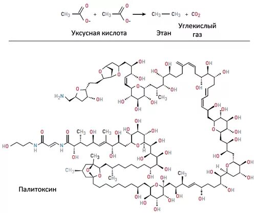 Длинные химические соединения. Сложные химические формулы органической химии. Сложные формулы в органической химии. Длинные формулы химических соединений. Органические формулы сложные структурные.