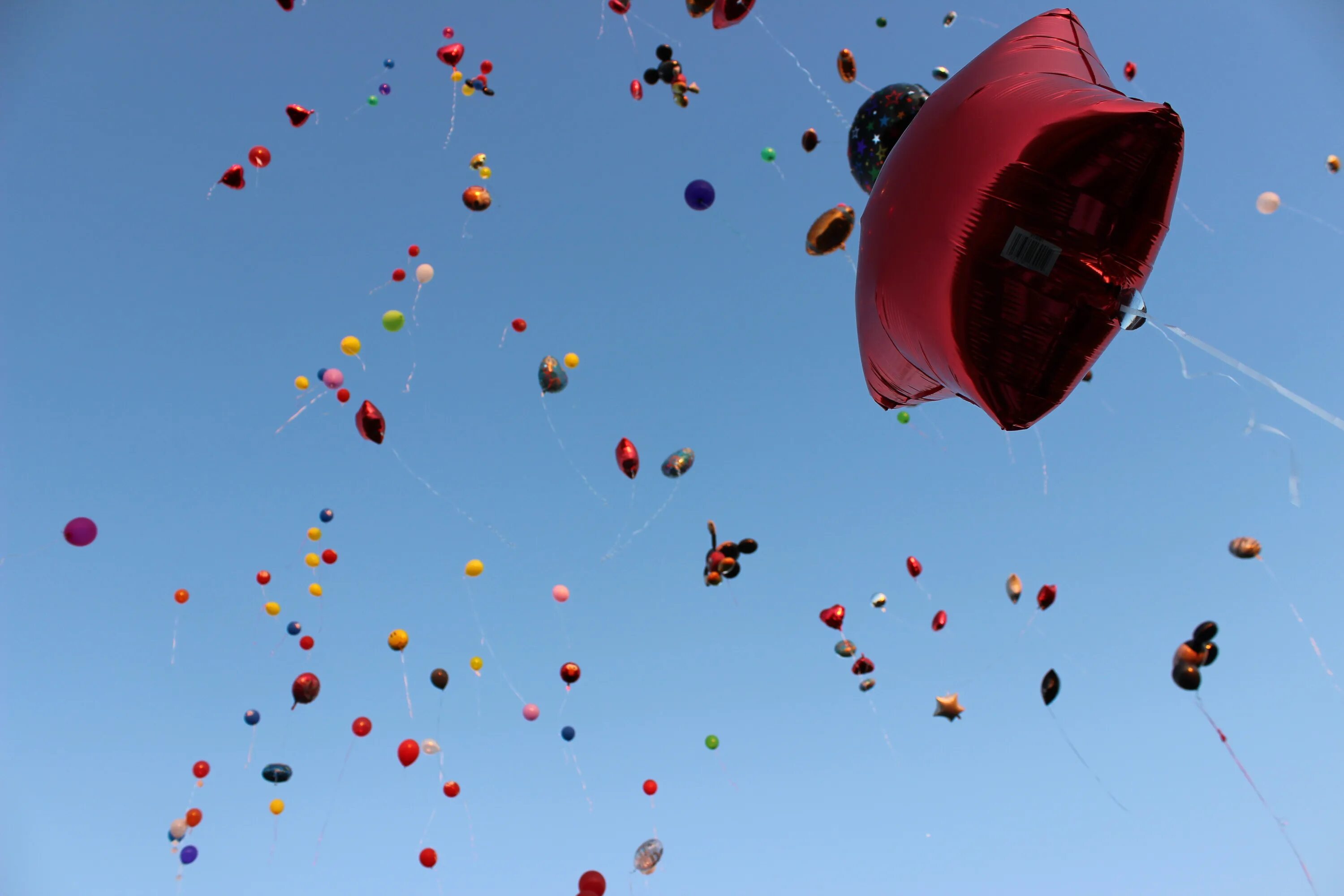 Balloon fly. Воздушные шары. Воздушные шары в небе. Улетающий воздушный шар. Шарики в небе.